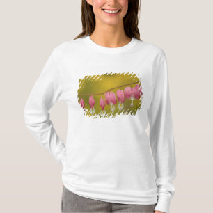 T-shirt États-Unis, Virginie, Arlington, gros plan sur ros