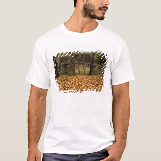 T-shirt États-Unis, Virginie, Covington, Humpback Covered (Devant)