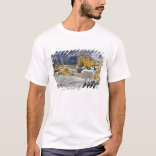 T-shirt États-Unis, WA, Alpine Lakes WIlderness Enchantmen