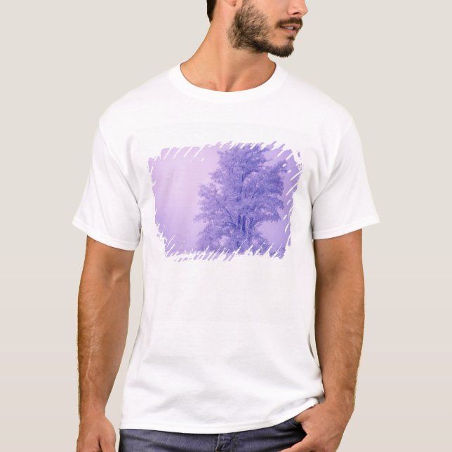 T-shirt États-Unis, Washington, Comté de Spokane, givré (Devant)