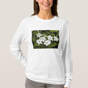 T-shirt États-Unis, Washington, Cornouiller du Pacifique, 