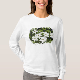 T-shirt États-Unis, Washington, Cornouiller du Pacifique,