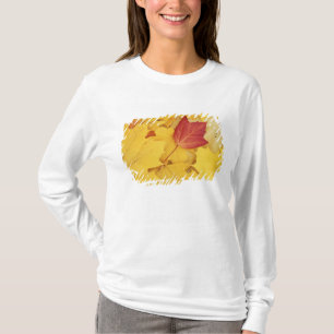 T-shirt États-Unis, Washington, Finch Arboretum, Rouge et