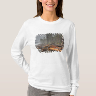 T-shirt États-Unis, Washington, Parc National Olympique, 