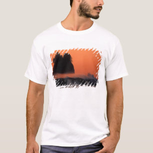 T-shirt États-Unis, Washington, Parc national Olympique, M