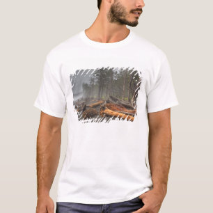 T-shirt États-Unis, Washington, Parc national Olympique, R