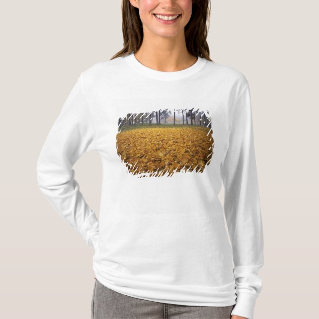 T-shirt États-Unis, Washington, Spokane, Manito Park, Auto (Devant)