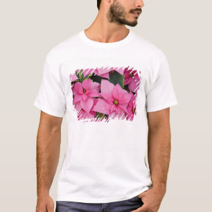 T-shirt États-Unis, Washington, Woodinville, Molbak's Nurs