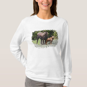 T-shirt États-Unis, Wyoming, Montagnes Bighorn, élan Alces