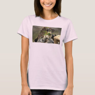 T-shirt Été - Américaine Pica