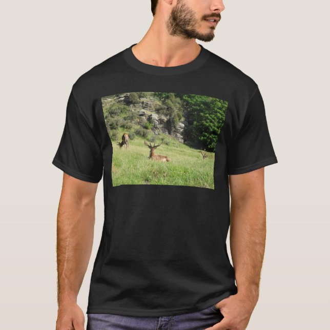 T-shirt Étiquettes de la Nouvelle-Zélande (Devant)