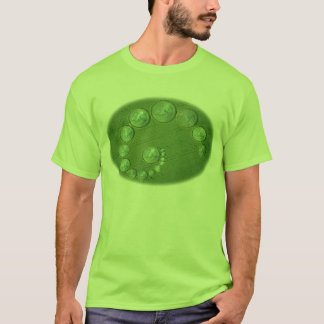T-shirt Euro cercles de culture