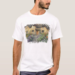 T-shirt Europe, Angleterre, Chippenham. Lumière tôt le mat
