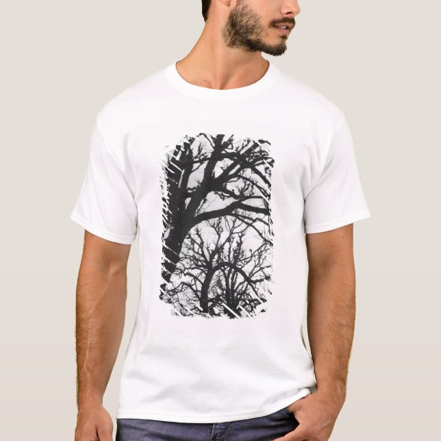 T-shirt Europe, France, Paris. Les arbres d'hiver, Marco (Devant)