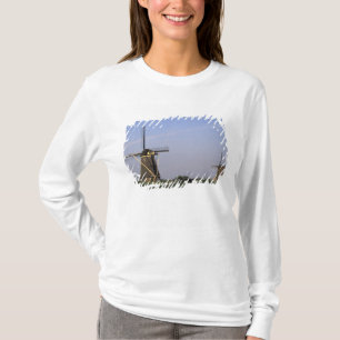 T-shirt Europe, Pays-Bas, Zuid Holland, Kinderdijk.