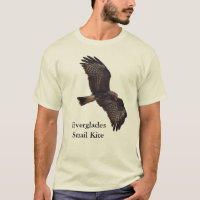 Everglades Snail Kite 2022