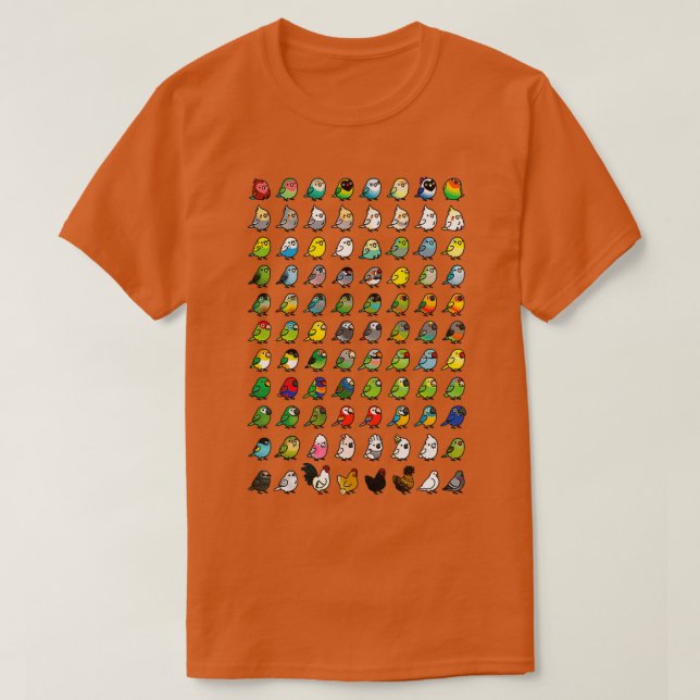 T-shirt Everybirdy Collection (Design devant)