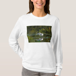 T-shirt Examen de l'aile Egret