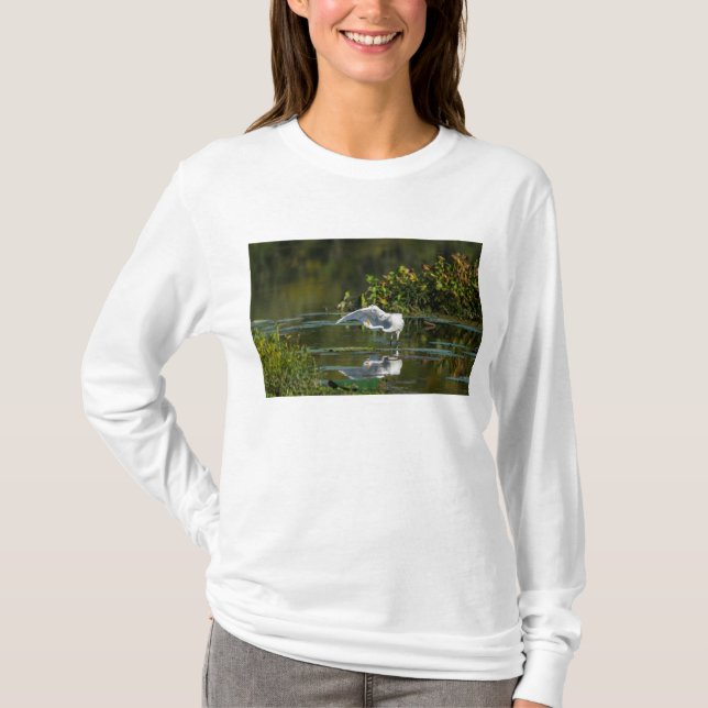 T-shirt Examen de l'aile Egret (Devant)