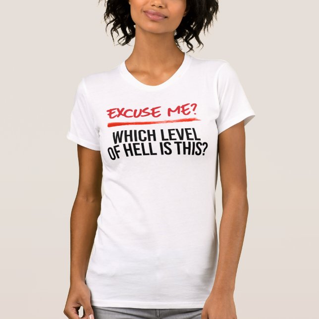 T-shirt Excusez-moi quel niveau c'est (Devant)