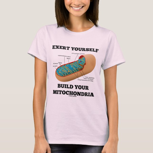 T-shirt Exercez-vous construction vos mitochondries (Devant)
