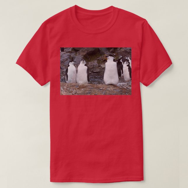 T-shirt Exercice d'aérobic Chinstrap Penguins (Design devant)