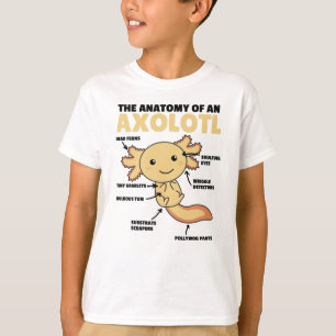 T-shirt Explication Axolotl Anatomie D'Un Axolotl
