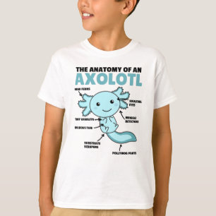 T-shirt Explication Axolotl Anatomie D'Un Axolotl