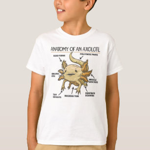 T-shirt Explication Axolotl Anatomie D'Un Axolotl