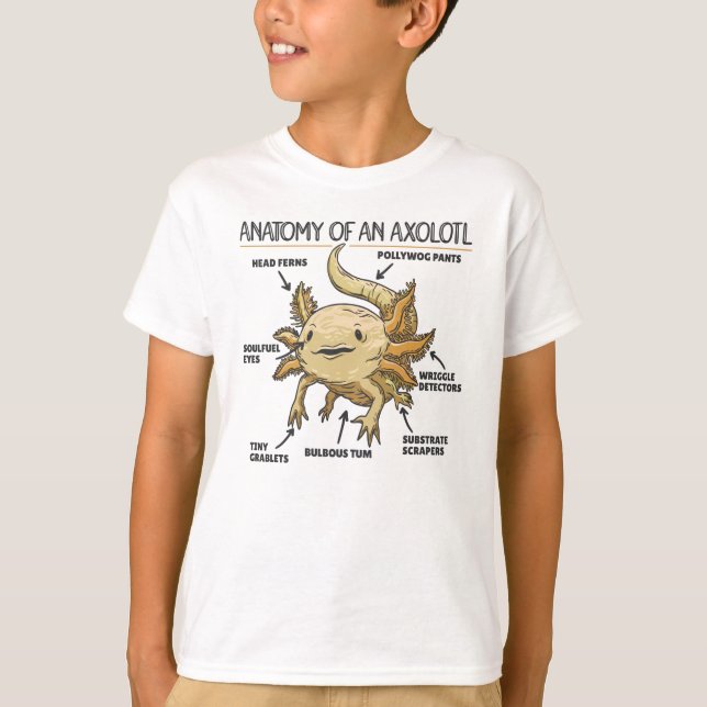T-shirt Explication Axolotl Anatomie D'Un Axolotl (Devant)