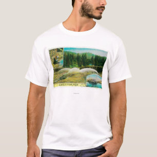 T-shirt Extraction de l'or en Californie StateState