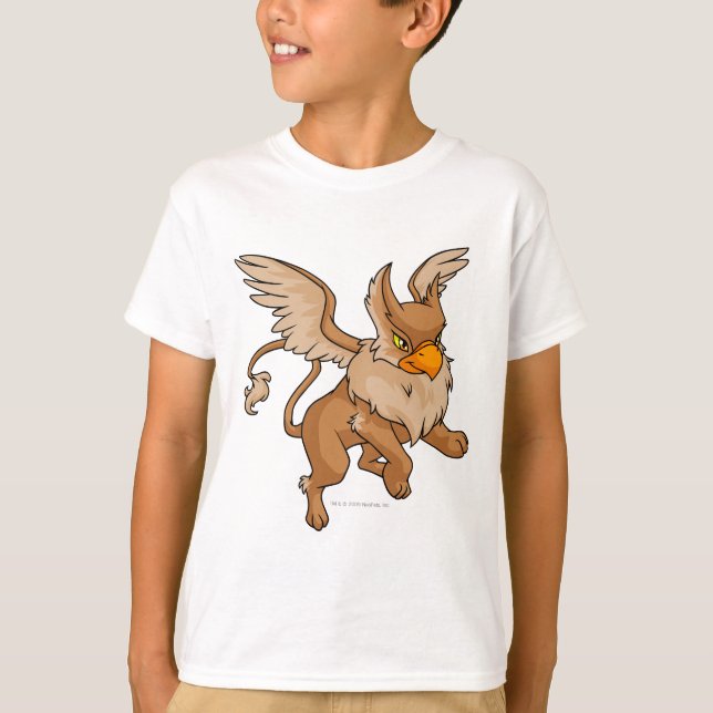 T-shirt Eyrie Brown (Devant)