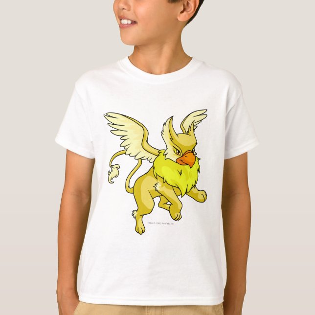 T-shirt Eyrie jaune (Devant)