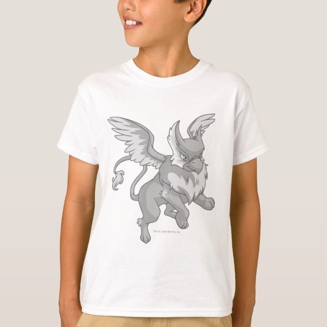 T-shirt Eyrie Silver (Devant)