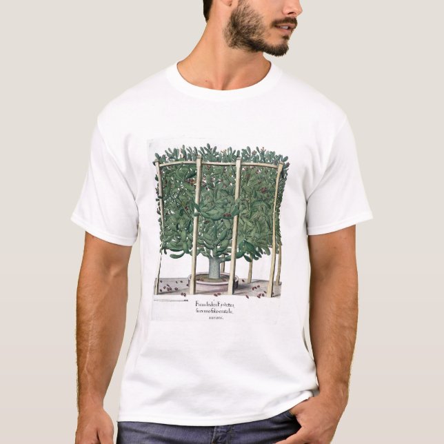 T-shirt Eystettensis indica de Ficus, du 'Hortus Eystet (Devant)