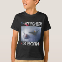 F 47 Avion de chasse F47 6e Gen F-47 Us Air F