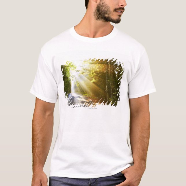 T-shirt Faisceaux de Sun par la forêt en parc national (Devant)