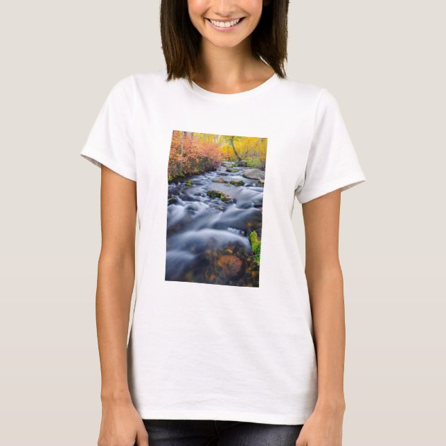 T-shirt Fall along Lundy Creek, California (Devant)