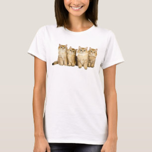 T-shirt Famille Cute kittens
