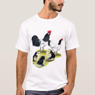 T-shirt Famille de poules Lakenvelder