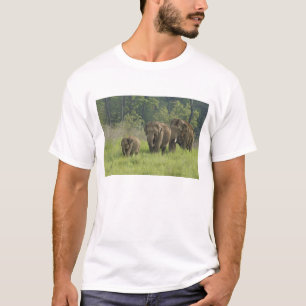 T-shirt Famille d'éléphants indiens