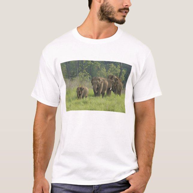 T-shirt Famille d'éléphants indiens (Devant)