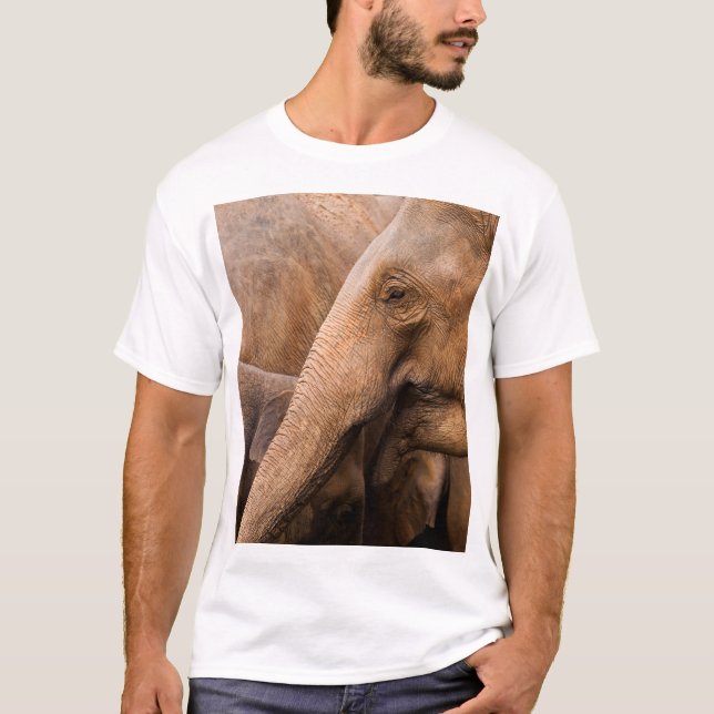 T-shirt Famille des éléphants : Faune majestueuse (Devant)