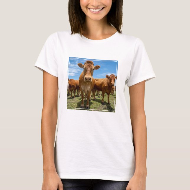 T-shirt Farms | Brown Cow Group (Devant)