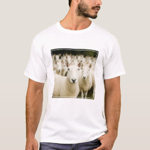 T-shirt Farms Herd of Sheep