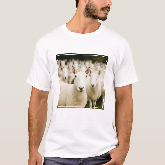T-shirt Farms | Herd of Sheep (Devant)