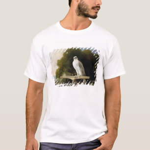 T-shirt Faucon du Groenland (faucon gris), 1780 (huile sur