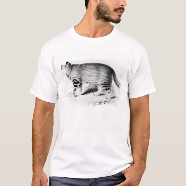 T-shirt Felis Pajeros, plat 9 (Devant)