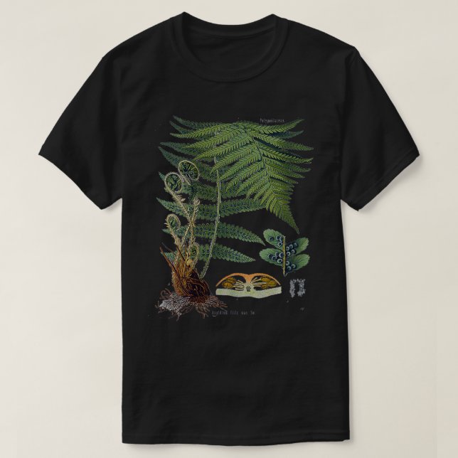 T-shirt Femme Fern Plante botanique Botany VNeck (Design devant)