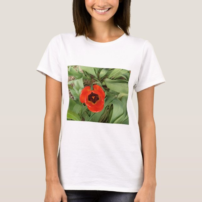 T-Shirt Femme Tulipe Rouge (Devant)